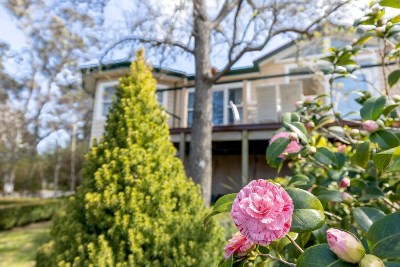 Berdea Villa Leura Eksteriør bilde