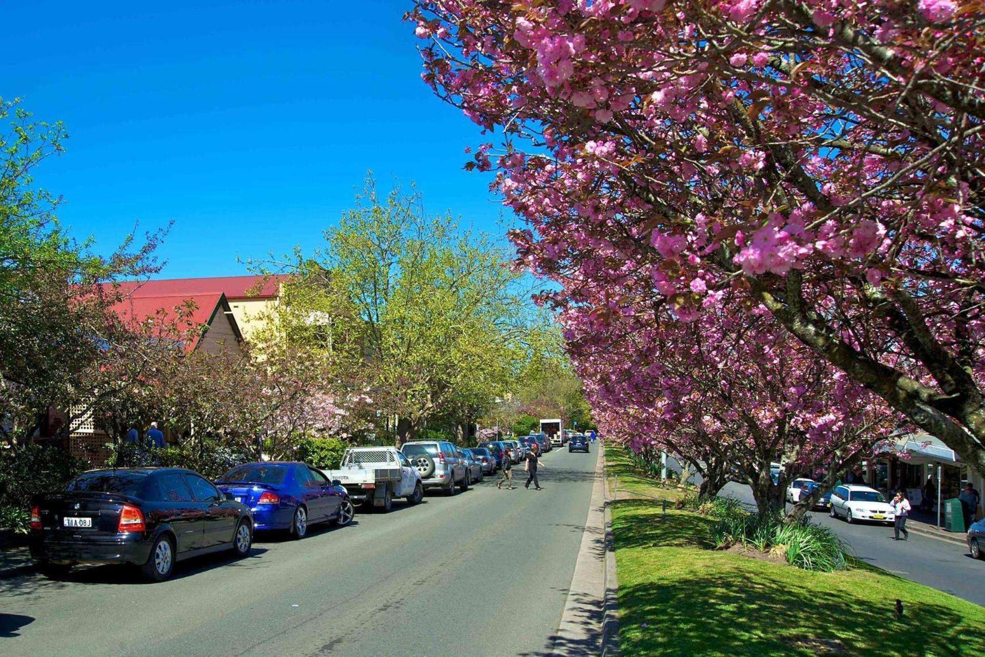 Berdea Villa Leura Eksteriør bilde